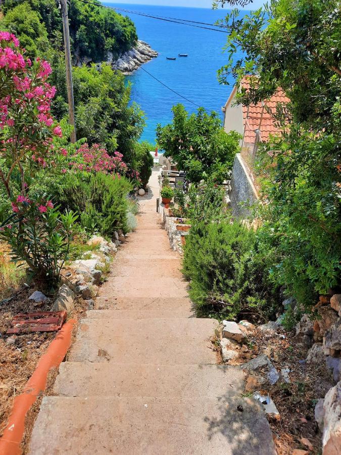 Belleview Apartments Vrbica Dubrovnik Dış mekan fotoğraf